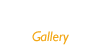 갤러리